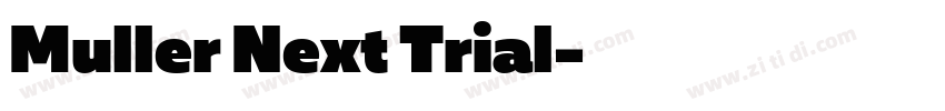Muller Next Trial字体转换